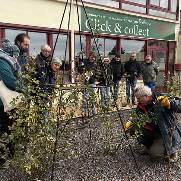 Formation Taille Arbres Fruitiers et Rosiers - 1 journée à Malicorne - Image 4