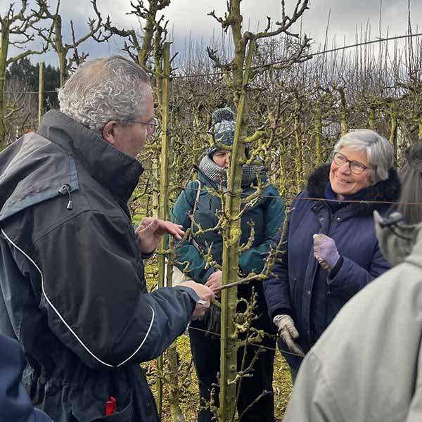 Formation Taille Arbres Fruitiers et Rosiers - 1 journée à Malicorne - Image 1