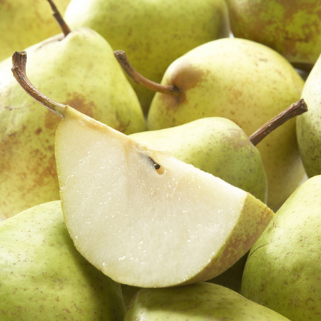 Poirier Sucrée de Montluçon