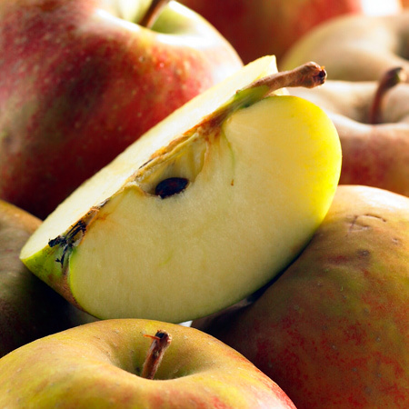 Pommier Belle de Boskoop