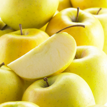 Pommier Golden Delicious - Image 1