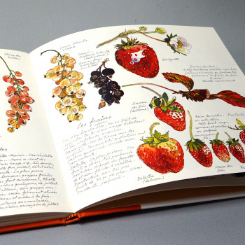 Autour du jardin