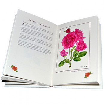 Livre A l´entour des Roses emblématiques d´hier et d´aujourd´hui - Image 1