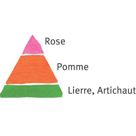 Rosier Camille Pissarro® Le rosier Tige