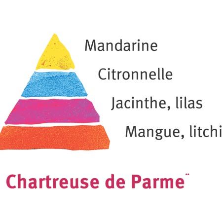 Rosier Chartreuse de Parme®