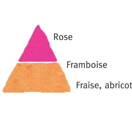 Rosier Comtesse De Ségur® Le rosier tige