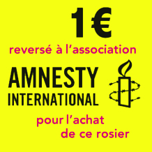 Rosier Grimpant Amnesty International®