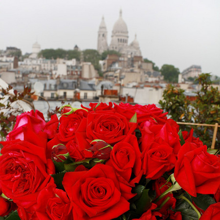 Rosier République de Montmartre®