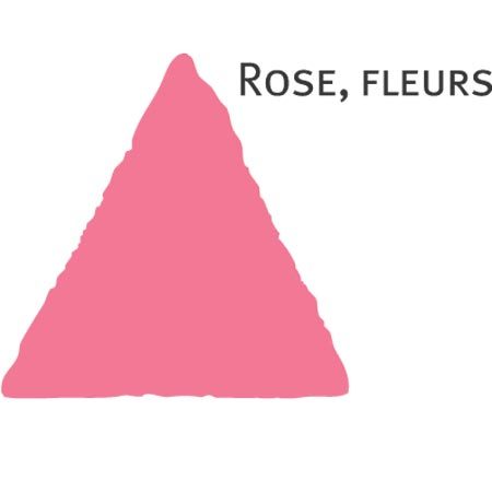 Rosier Tendresse®
