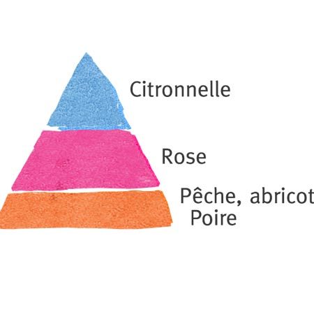 Rosier Nahéma® Le rosier Tige