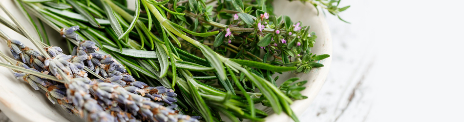 Ciboulette - Vente en ligne de plants de Ciboulette pas cher