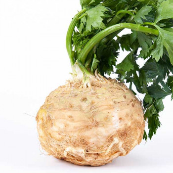 Céleri rave - Image 1