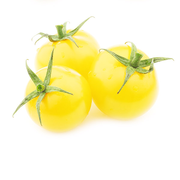 Tomate cerise blanche - White Cherry