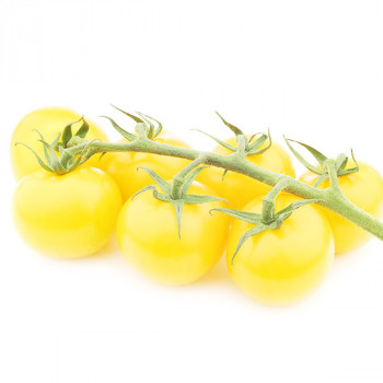 Tomate cerise blanche - White Cherry - Image 3