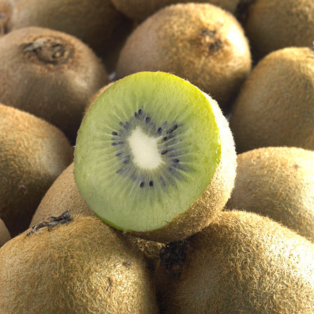 Kiwi Hayward variété femelle