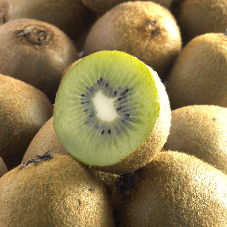 Kiwi Tomuri variété mâle