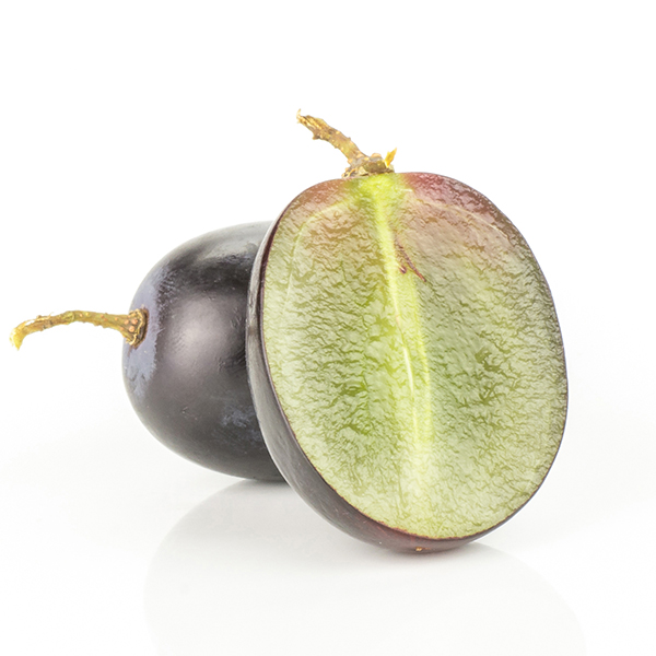 Vigne Autumn Royal Seedless