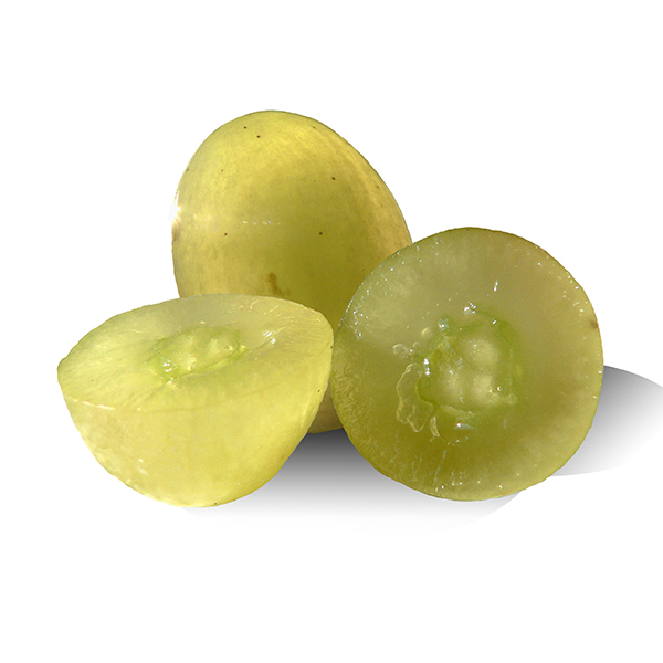 Vigne Centennial Seedless