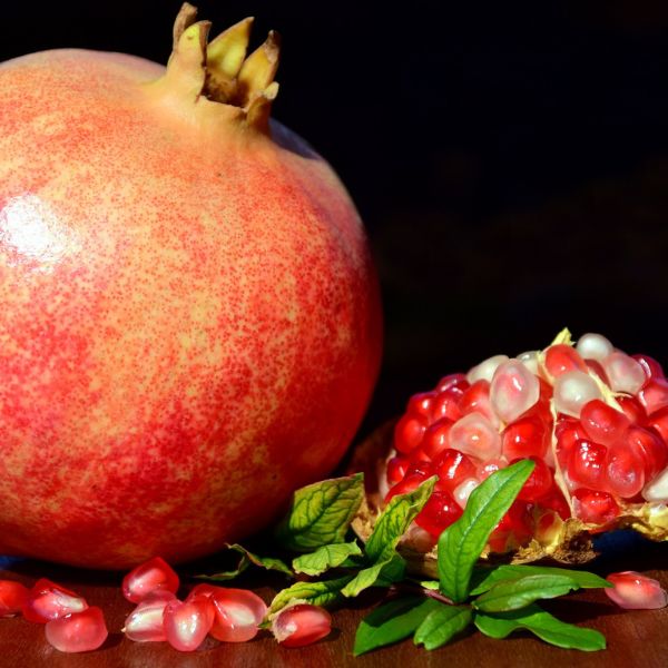 Grenadier à fruits - Punica granatum Malisi