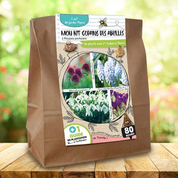 Boîte Bulbes à Fleurs Pour Insectes - 50 Bulbes Mélangés - Attire Abeilles Et Papillons - Vivaces, Longue Floraison