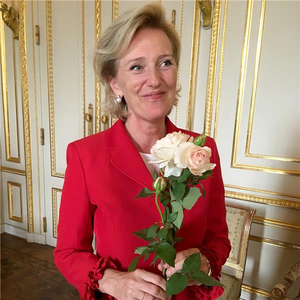 Rosier Princesse Astrid de Belgique®