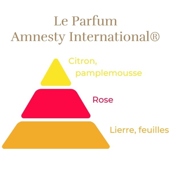 Rosier Grimpant Amnesty International®