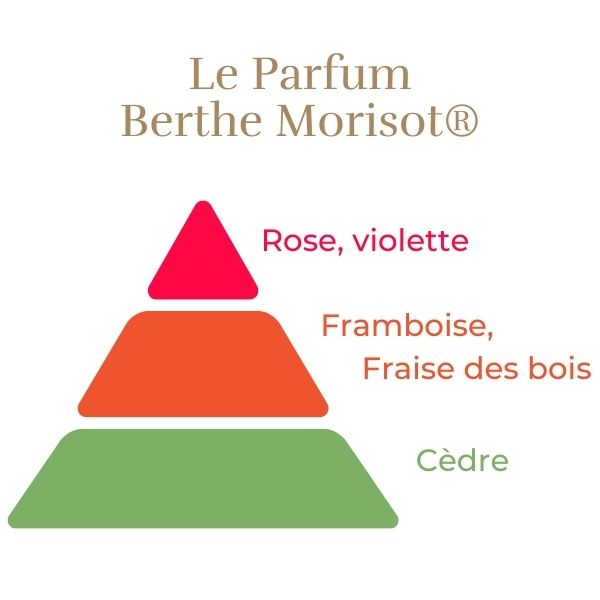 Rosier Berthe Morisot® Le rosier tige