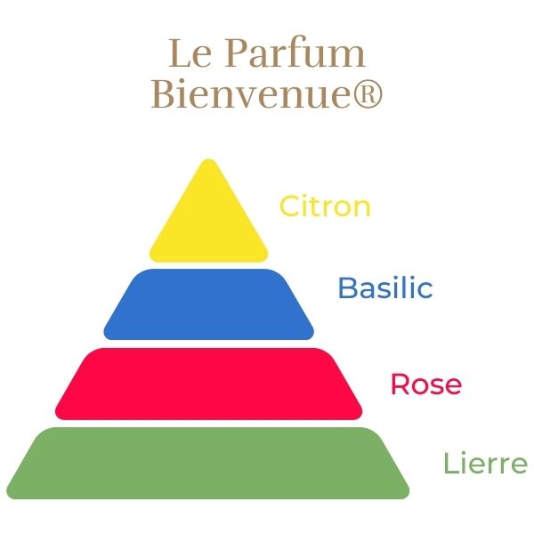 Rosier Grimpant Bienvenue®