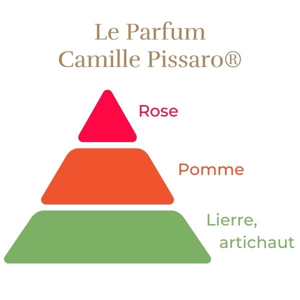 Rosier Camille Pissarro® Le rosier Tige