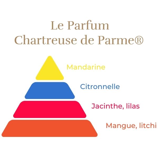 Rosier Chartreuse de Parme®