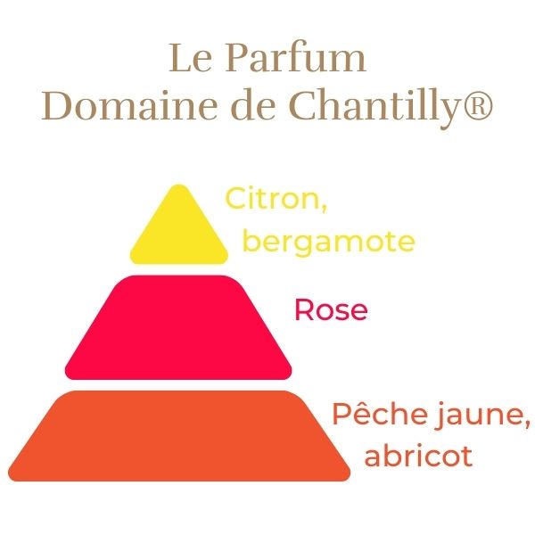 Rosier Domaine de Chantilly®