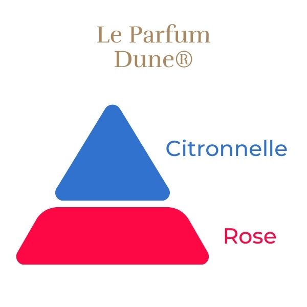Rosier Grimpant Dune®