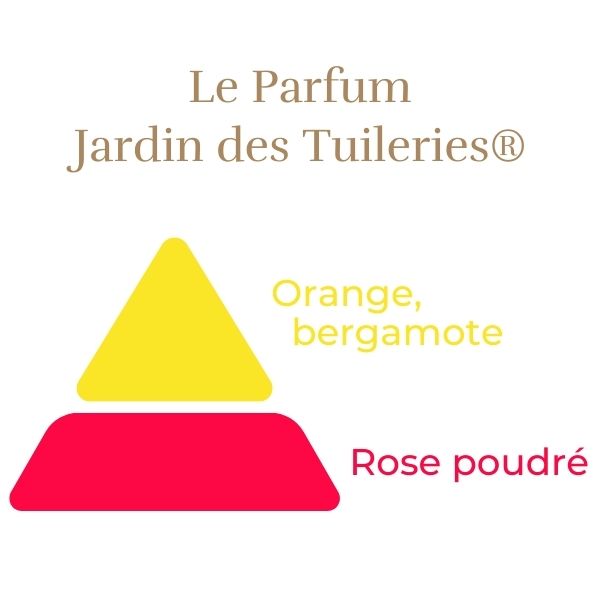 Rosier Jardin des Tuileries®