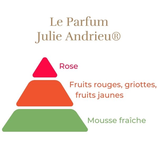 Rosier Grimpant Julie Andrieu®