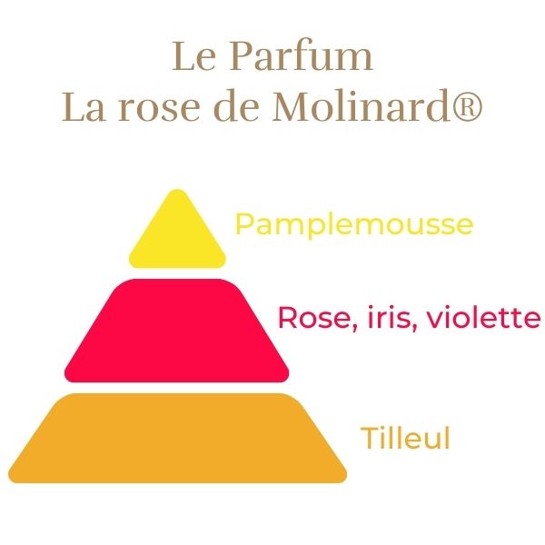 Rosier La Rose de Molinard®