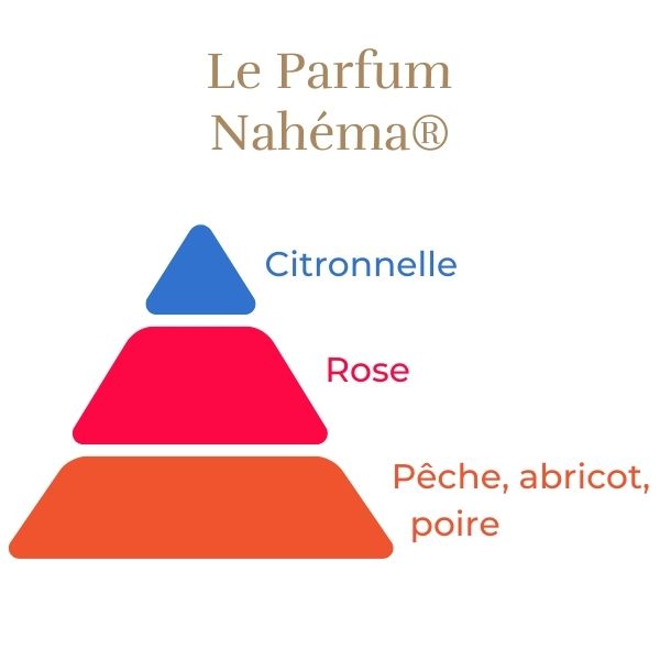 Rosier pleureur Nahéma® Racines nues L´unité