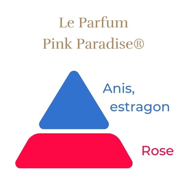 Rosier Pink Paradise® Le rosier Tige