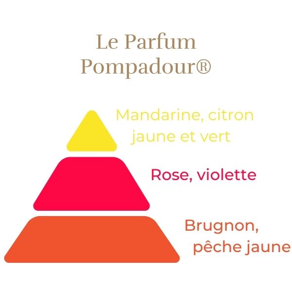 Rosier Pompadour®