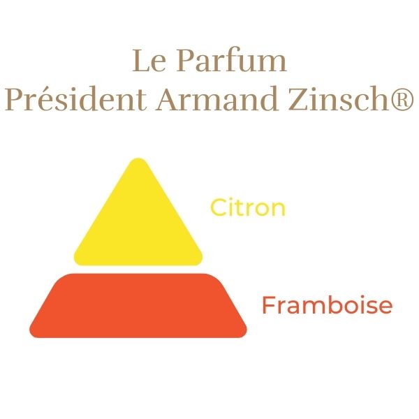 Rosier Président Armand Zinsch®
