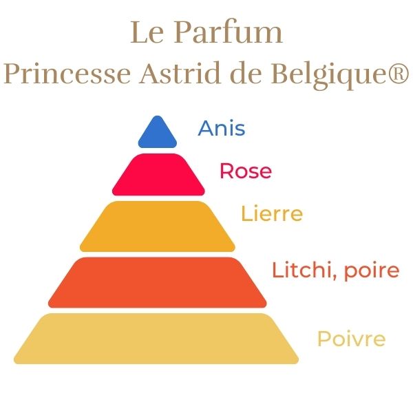 Rosier Princesse Astrid de Belgique®