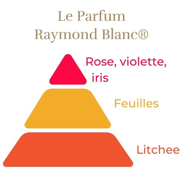 Rosier Raymond Blanc®
