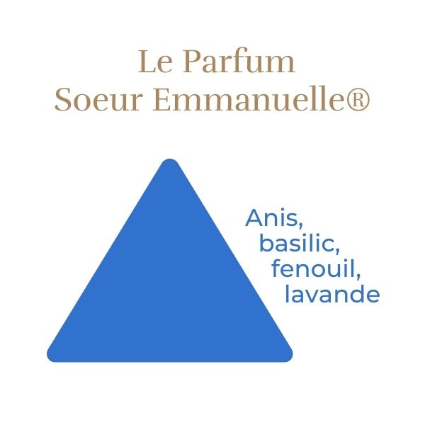 Rosier Soeur Emmanuelle® - Image 4