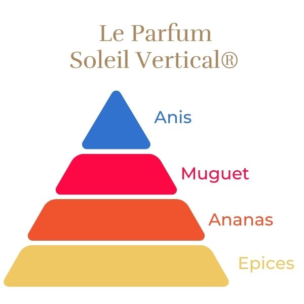 Rosier Grimpant Soleil vertical®
