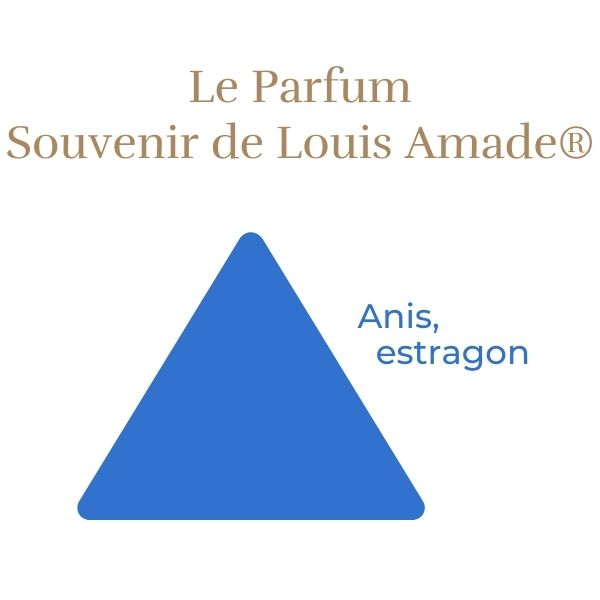 Rosier Souvenir de Louis Amade®