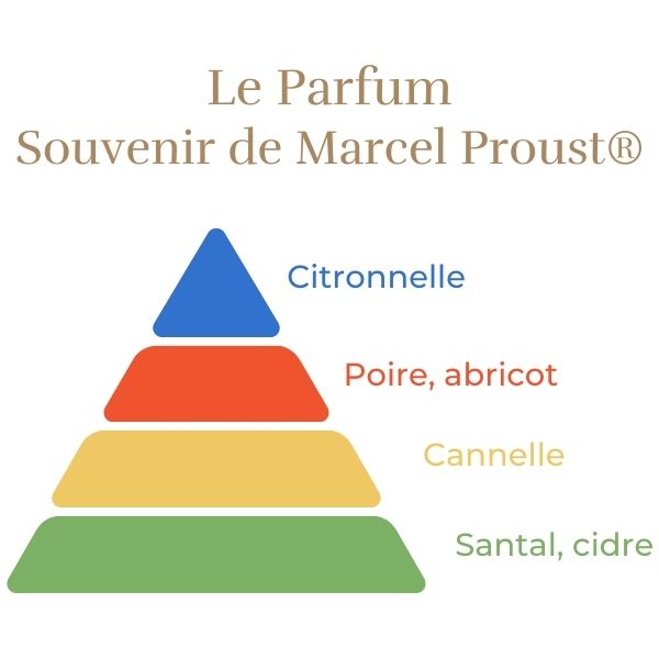 Rosier Souvenir de Marcel Proust®