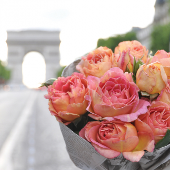 Rosier La Parisienne®