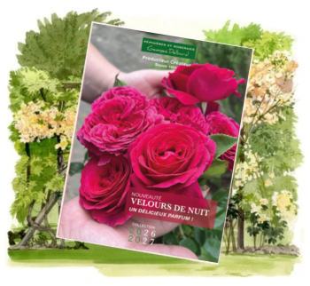 Aquarelle - Consulter le catalogue interactif