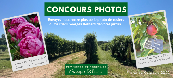 Concours_Photos_5_.png