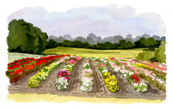 Inspiration jardin