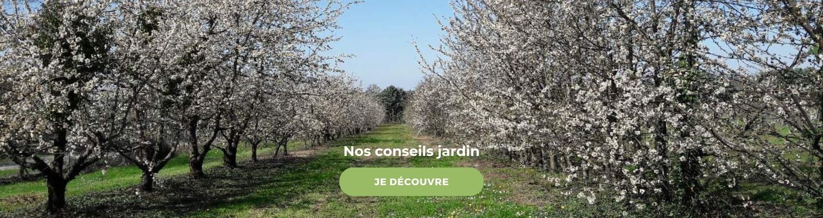 Nos conseils